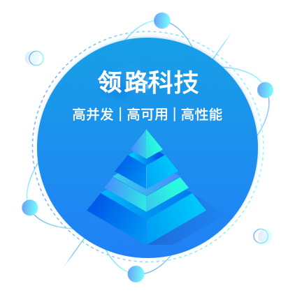 领路科技,pactera,深耕IT服务行业24年，是企业值得依赖的数字化转型合作伙伴,专业it软件外包服务公司